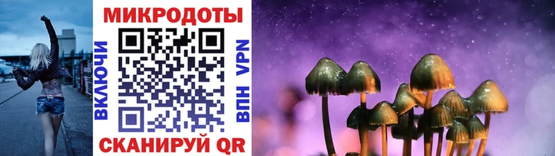 Псилоцибиновые грибы Psilocybe  Купить  Сызрань 